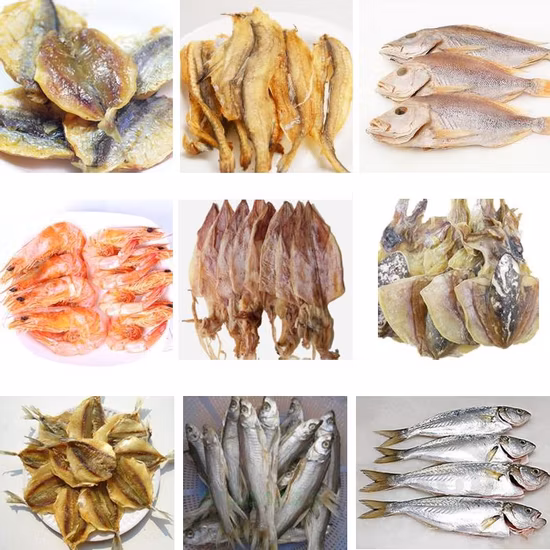 Kinkai secador de calor desidratador de máquina de secagem de gengibre